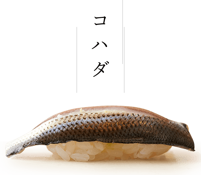 コハダ