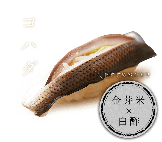 コハダ